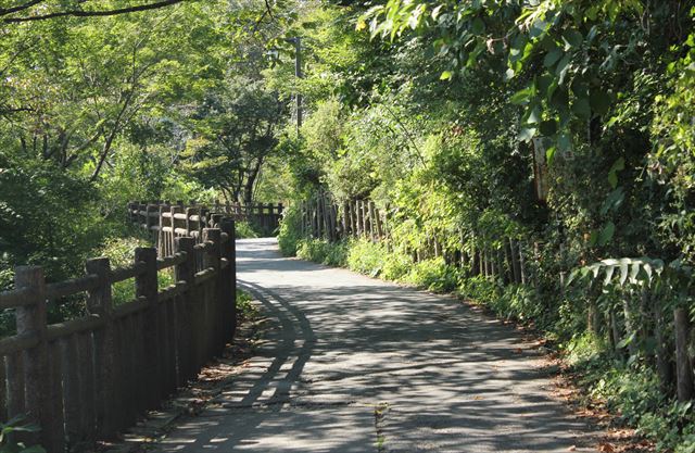 御岳山、神苑の森を歩く　1_b0246693_16443162.jpg