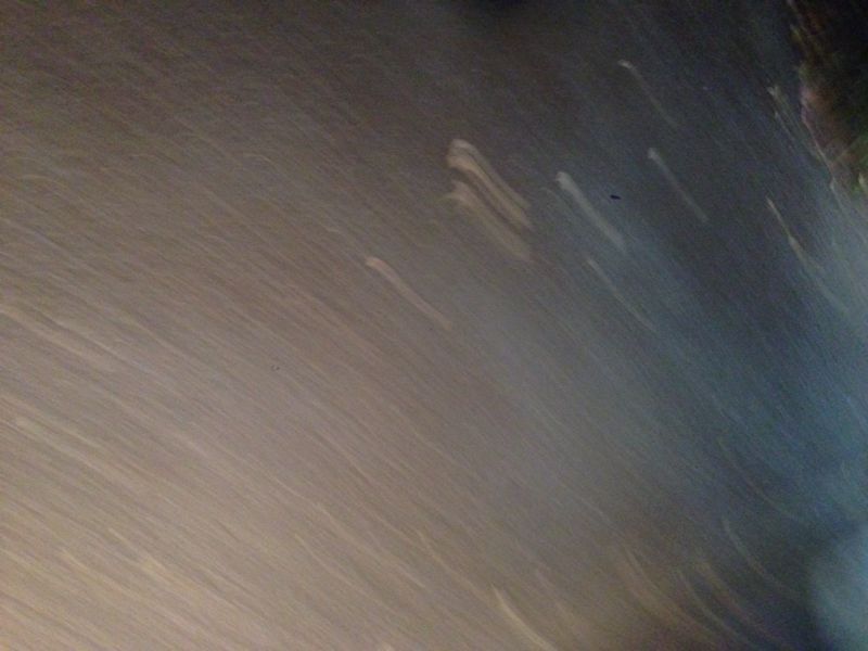 d0135694_032526.jpg