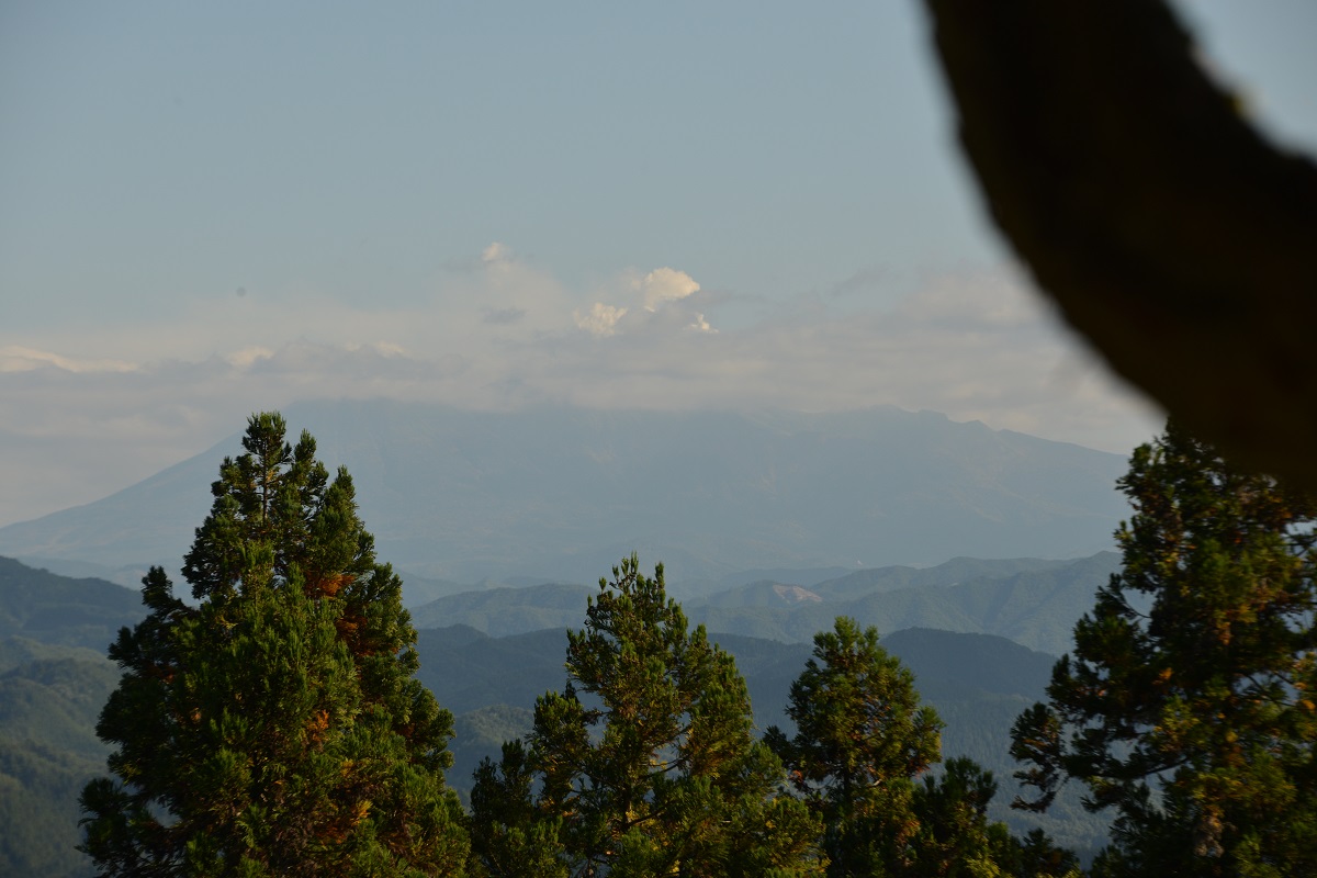 f0268294_01072305.jpg