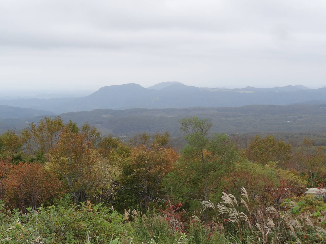 f0075595_03072409.jpg
