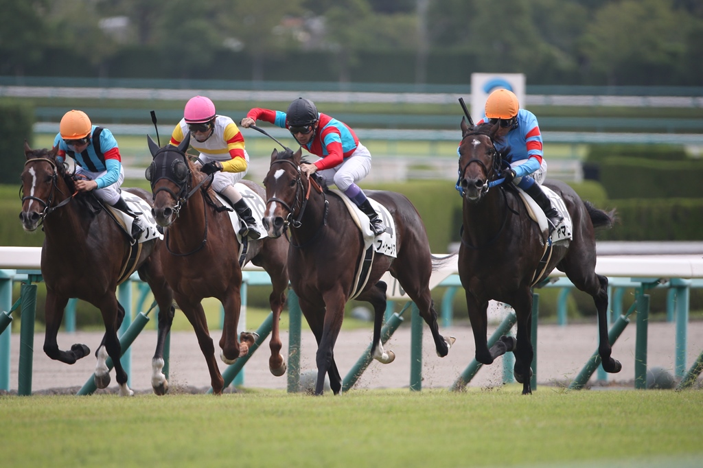 2014年10月4日　２歳未勝利戦_f0204898_7475118.jpg