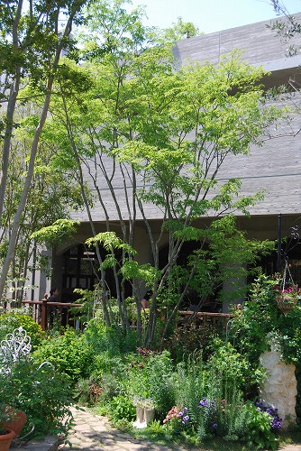 c0124100_16362850.jpg