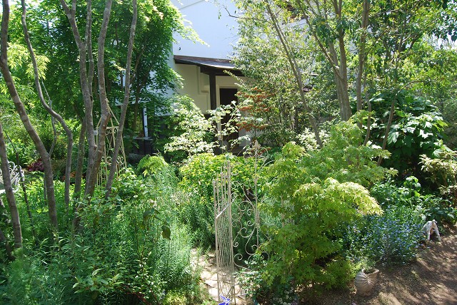 c0124100_16363964.jpg