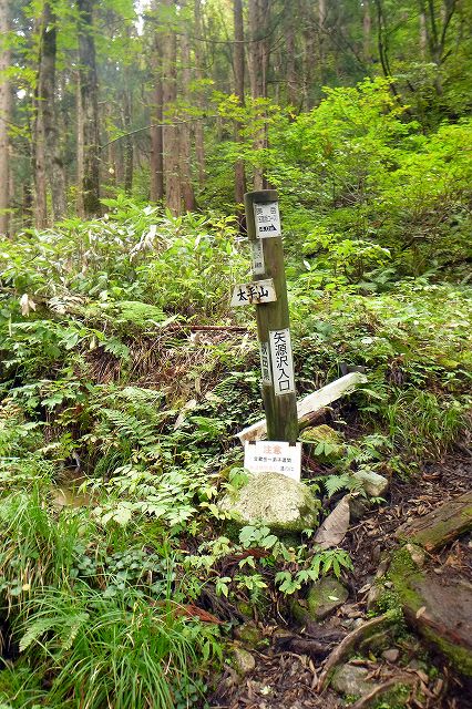 e0137200_21131322.jpg