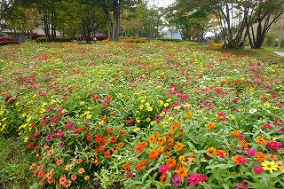 e0137200_21145363.jpg