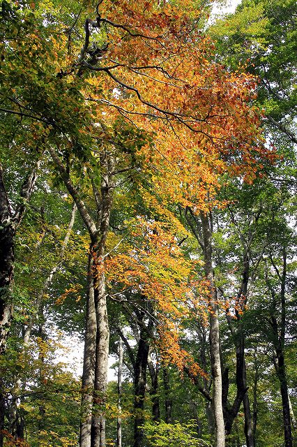 e0137200_215582.jpg