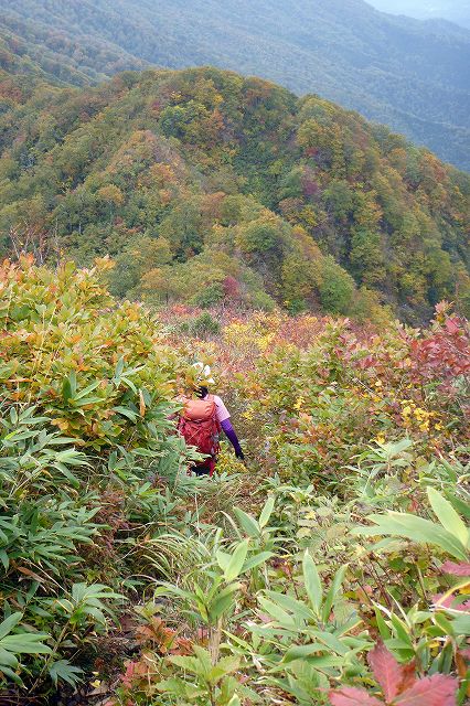 e0137200_2183277.jpg