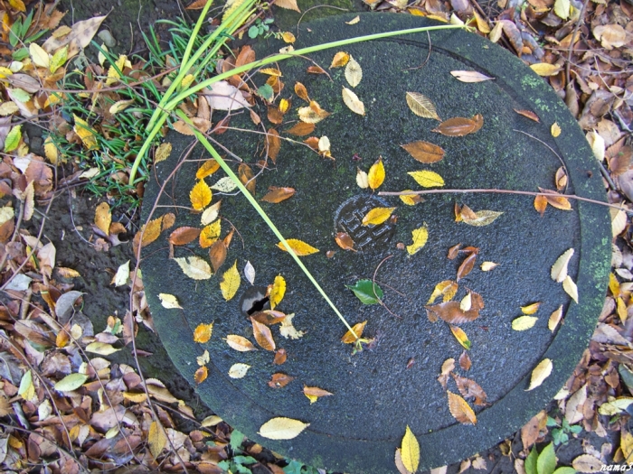 f0224100_07265192.jpg