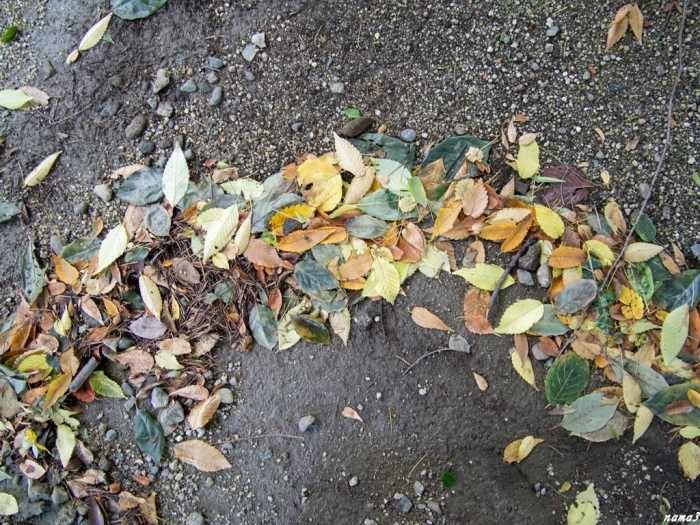f0224100_07311879.jpg