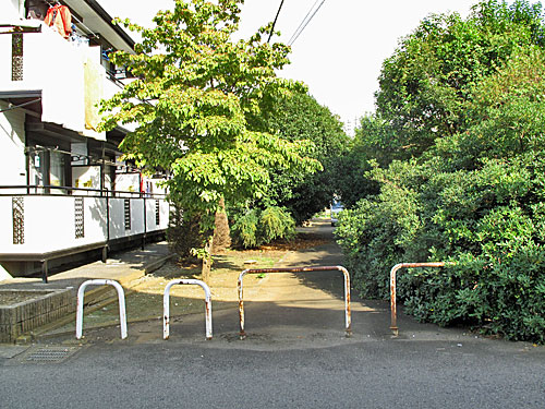 c0163001_22213254.jpg
