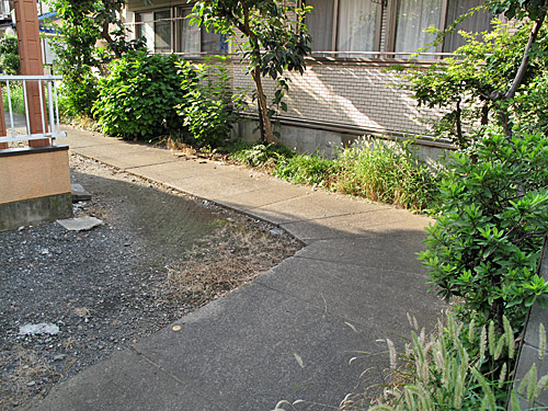 c0163001_22243664.jpg