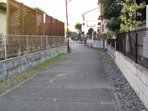 c0163001_2225499.jpg