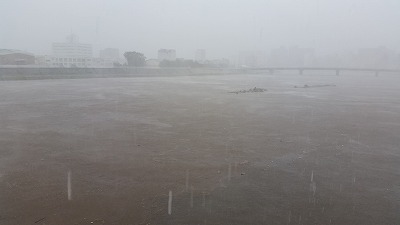 凄まじかった台風18号!_d0050503_5445191.jpg