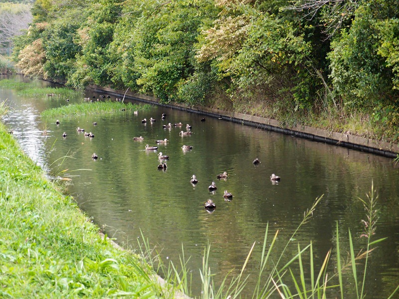e0039703_061637.jpg