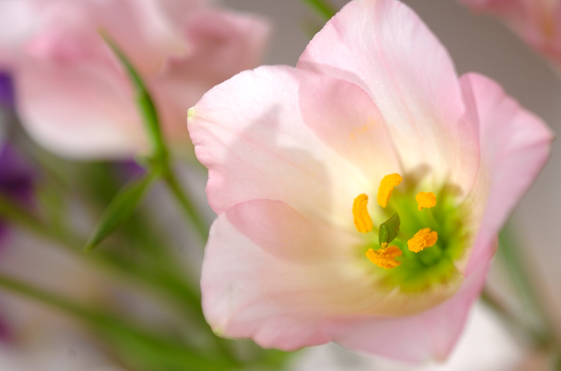 花より団子_a0115906_1650362.jpg