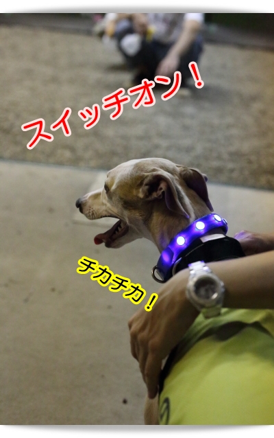 e0100007_2201289.jpg