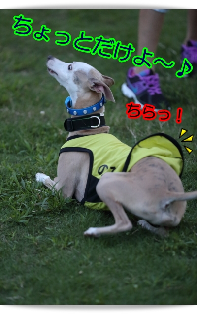 e0100007_221355.jpg