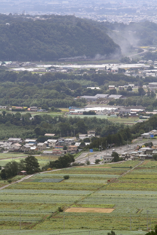 こんにゃく畑の向こうに煙が見えた - 2014年秋・上越線 - _b0190710_2352789.jpg