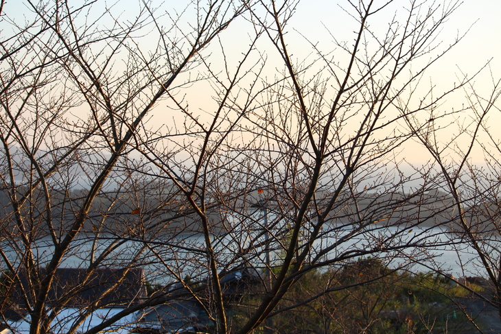 a0281511_911460.jpg