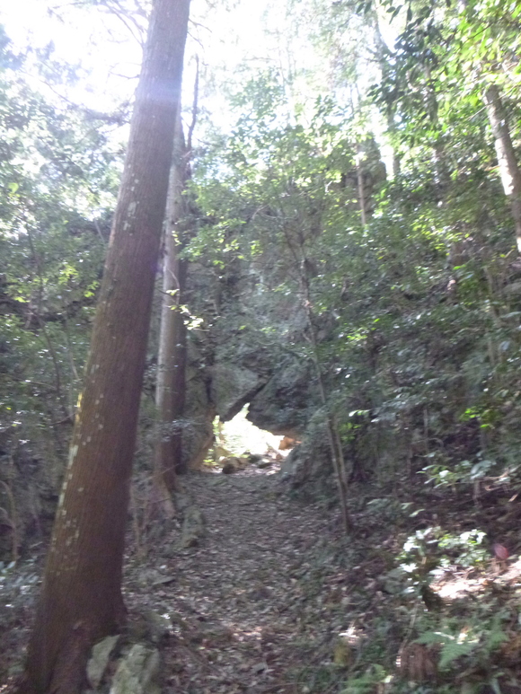 d0170615_20591529.jpg
