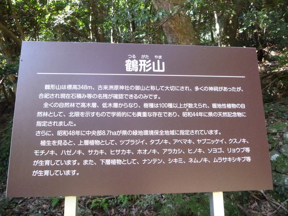 d0170615_20592563.jpg