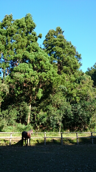 b0187620_18361010.jpg