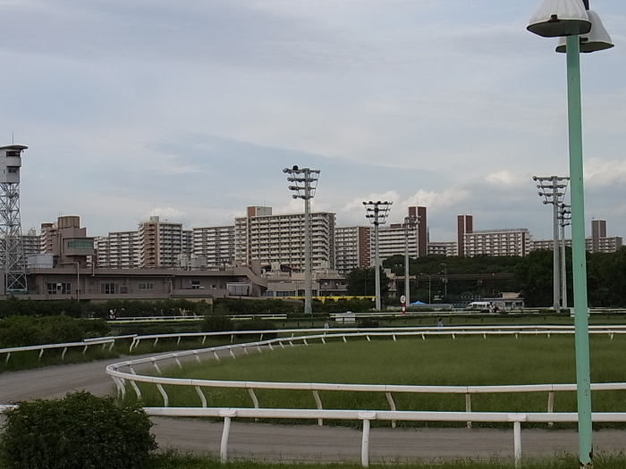 団地と競馬場_a0132621_18371260.jpg