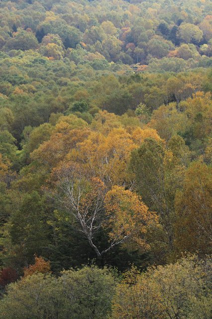 e0242721_16103530.jpg