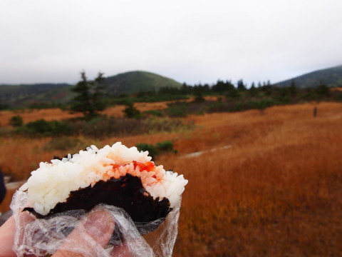 毛無パラダイスラインの紅葉@八甲田(青森市)*2014.10.07_b0147224_20594523.jpg