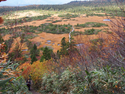 毛無パラダイスラインの紅葉@八甲田(青森市)*2014.10.07_b0147224_212386.jpg