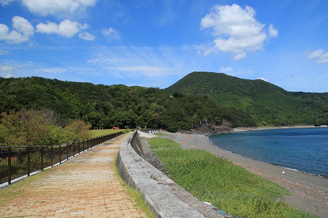 大白公園周回コースをウォーキング　（その2）_e0321325_16391953.jpg