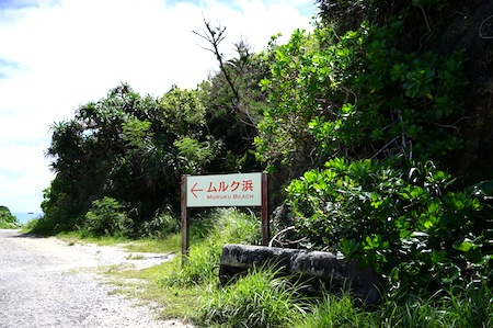 b0104826_10554556.jpg