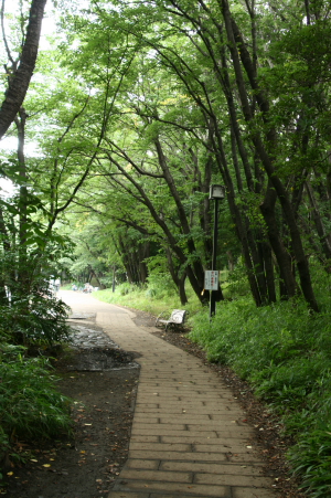f0118426_19172157.jpg