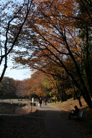 f0118426_19172352.jpg
