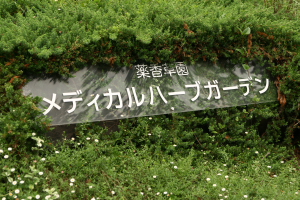 f0118426_19173679.jpg