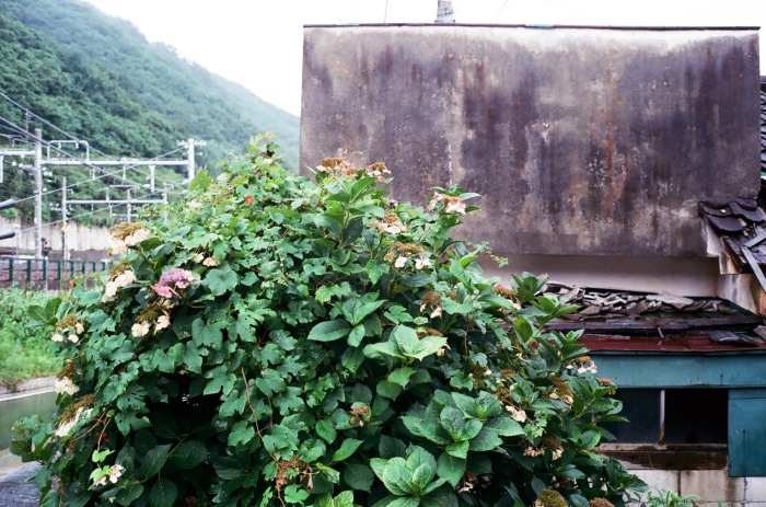 a0255730_08132511.jpg