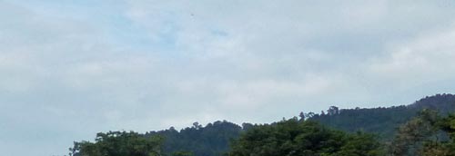 b0063436_12151758.jpg