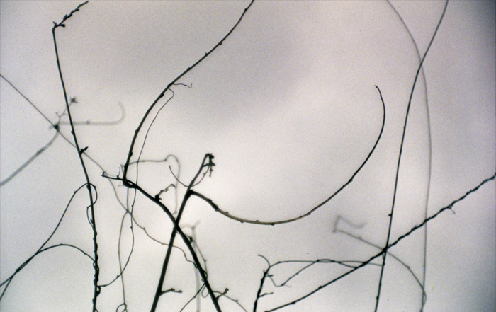 c0333042_21303956.jpg