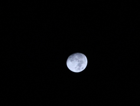 c0339249_00005361.jpg