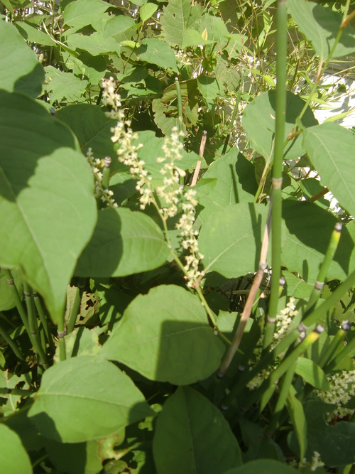 f0329849_15544810.jpg