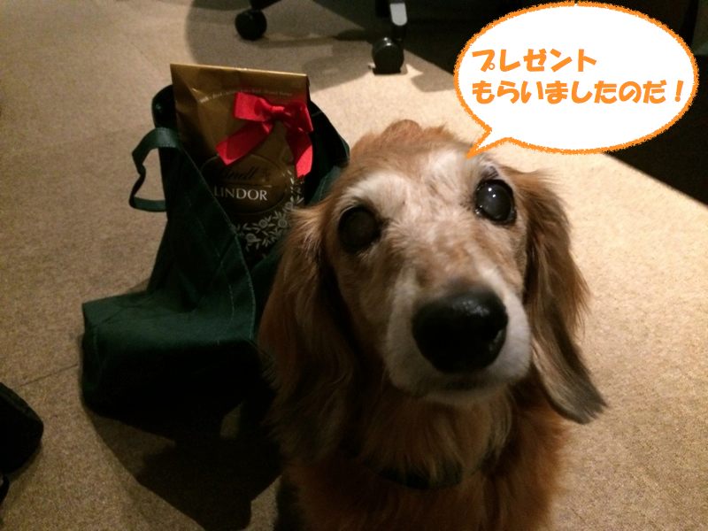 c0121550_11334227.jpg