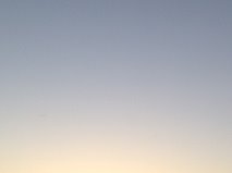b0291051_1620737.jpg