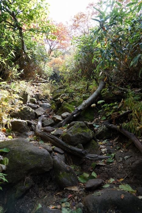 紅葉に間に合った♪妙高山＆火打山①　2014.10.04(土)～05(日)_f0344554_15320805.jpg