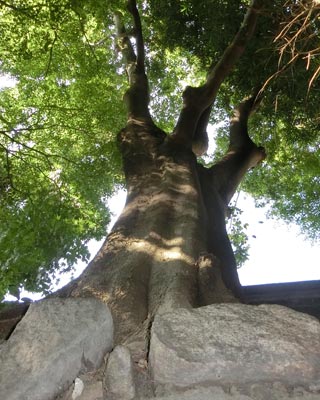 e0035757_01033447.jpg
