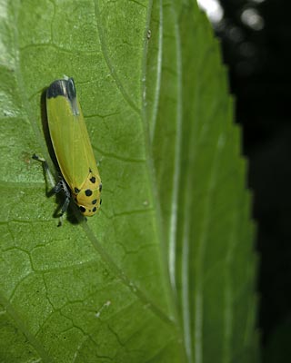 e0035757_01080202.jpg