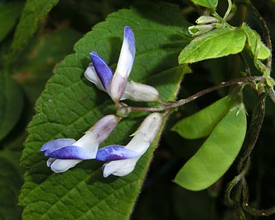 e0035757_01083250.jpg
