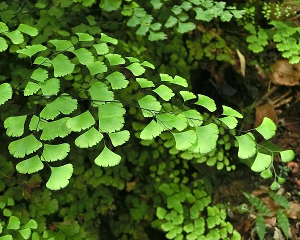 e0035757_01094800.jpg