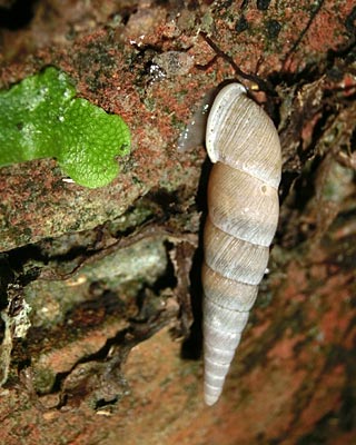 e0035757_01101285.jpg