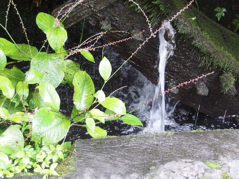 c0199462_12411780.jpg