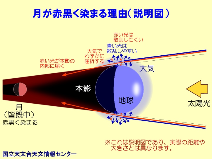 皆既月食だっぺ♫_d0128163_214322.jpg